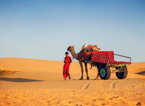 Palace Tours Of Rajasthan
